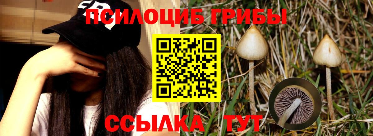 Галлюциногенные грибы прущие грибы  Псилоцибиновые грибы ЛСД  Гулькевичи  Вход с VPN 
